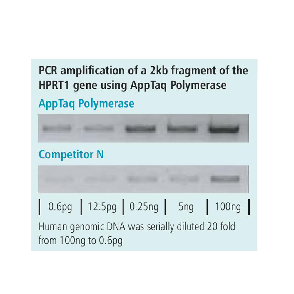 appTAQ聚合酶
