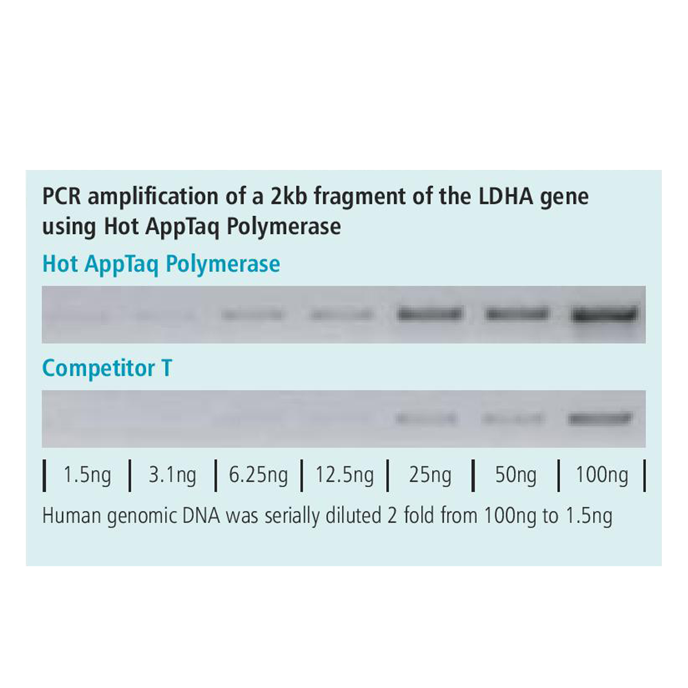 appTAQ Hot Start Polymerase