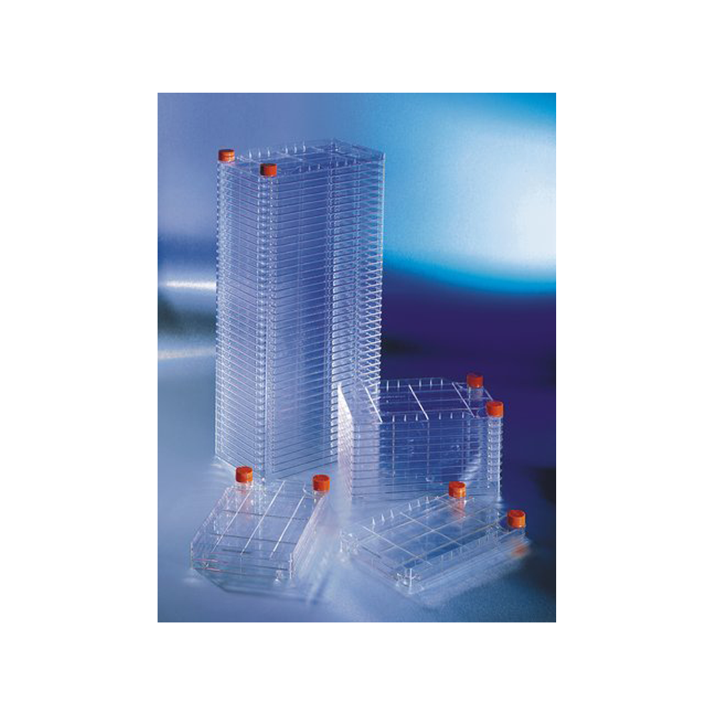 Cellstack文化室，康宁