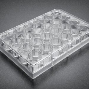 Corning® BioCoat™ Matrigel® Invasion Chambers with 8.0?m PET Membrane in two 24 Well Plates, 24/Pack, 24/Case