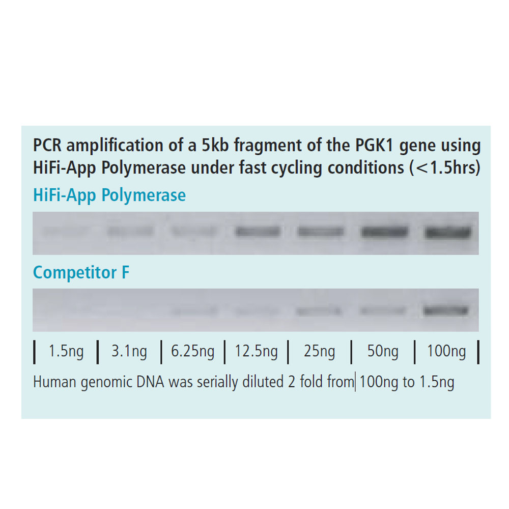 HiFi-App聚合酶，200单位