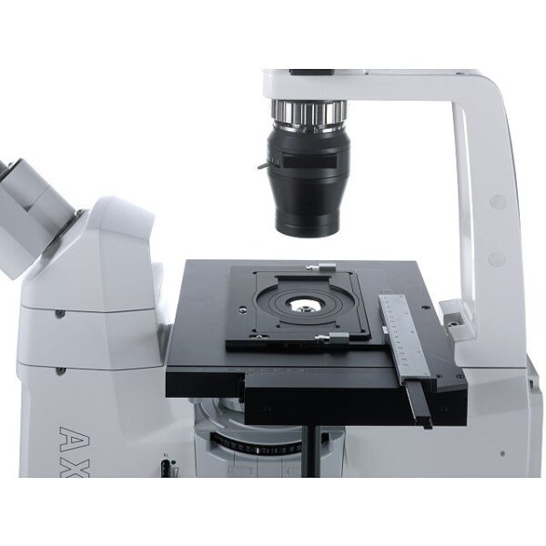 Axio绿色。A1 Inverted Microscopes