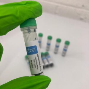 蛋白质标记